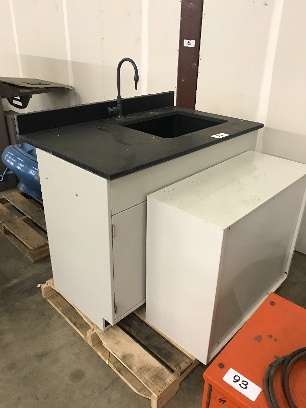 LAB SINK AND CABINET