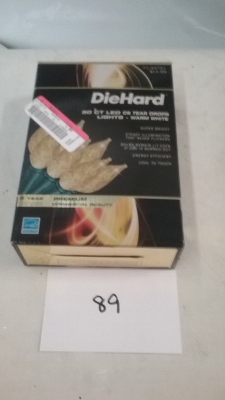 50ct Led Holiday Lights
