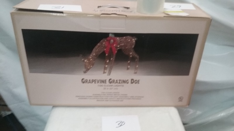 Grapevine Grazing Doe