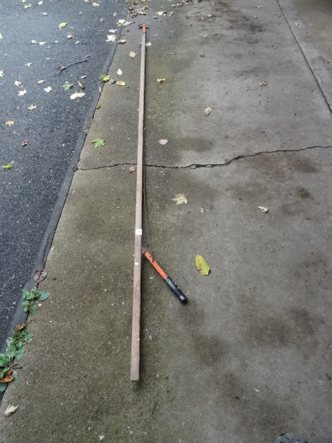 lot 127 image: Vintage Tree Trimmer 10 Long