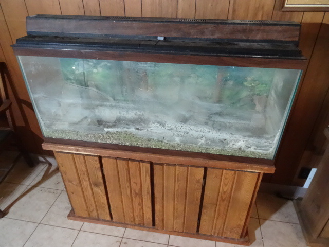 lot 165 image: Large Salt Water Aquarium
