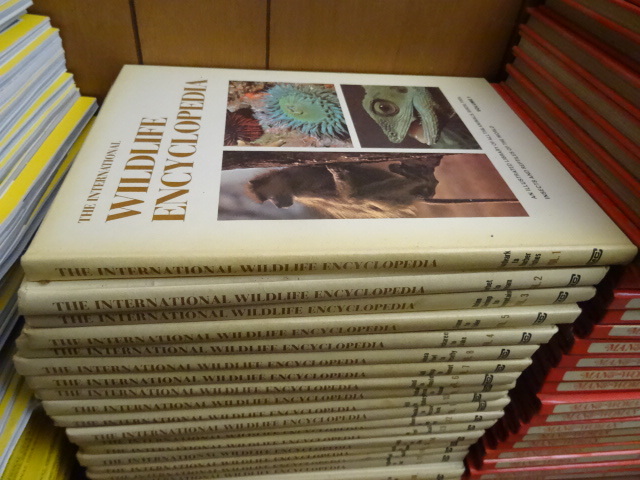 lot 290 image: International Wildlife Encyclopedias