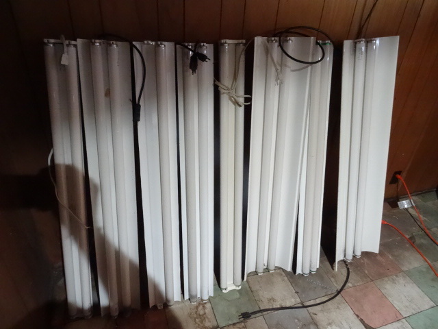 lot 326 image: Lot Of Fluorescent Shop & Grow Lights