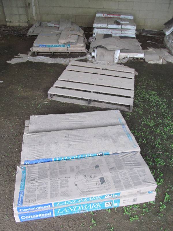 lot 17 image: shingles