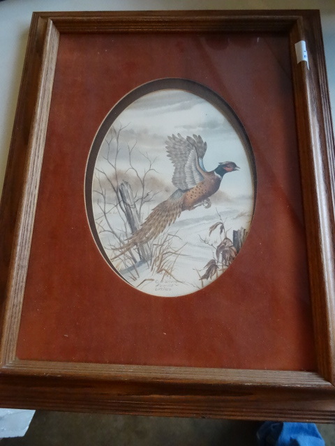 Framed Pheasant Print, D. Smith 649950