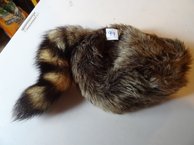 Coon Skin Davey Crockett Hat