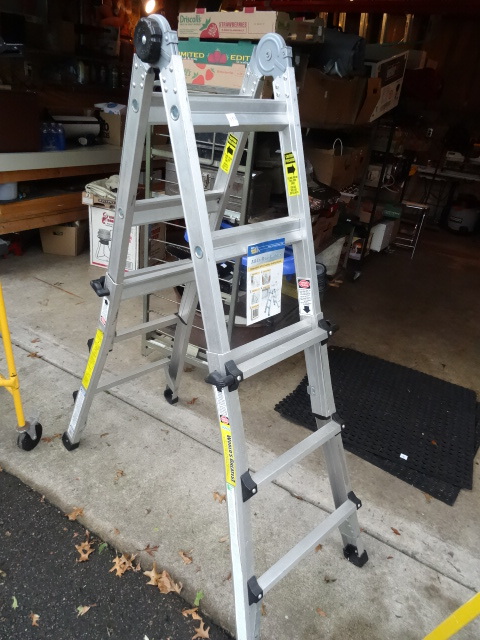 Cosco All In One Ladder