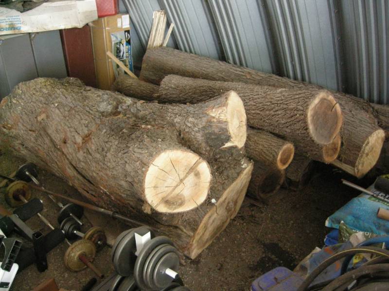 lot 251 image: Maple and Ash Logs