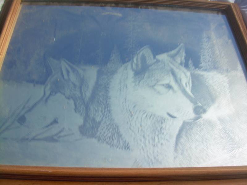 MIRRORED HUSKY PICTURE