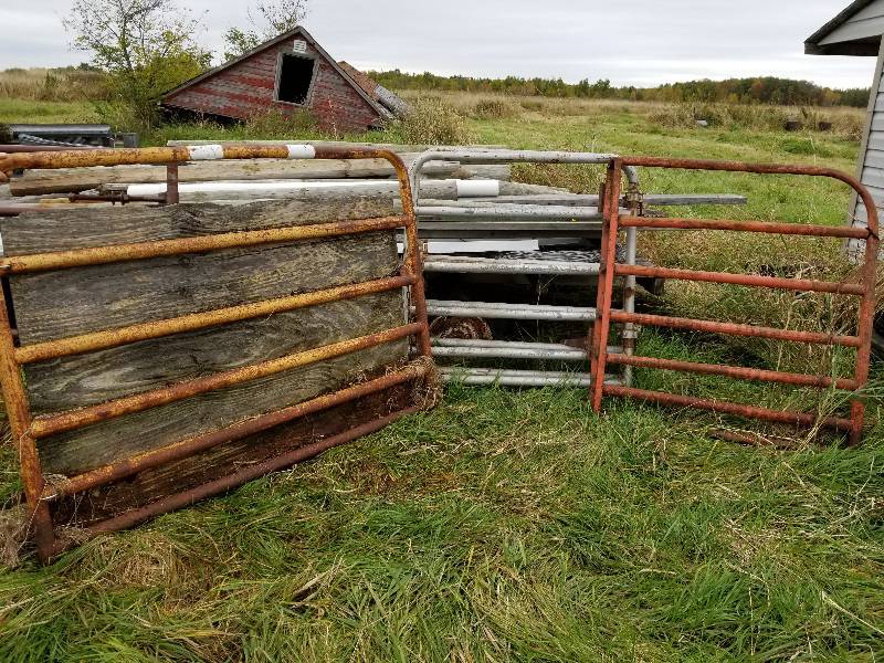 lot 9 image: Lot - 4 Gate Panels, (1) 5ft , (3) 3.5ft