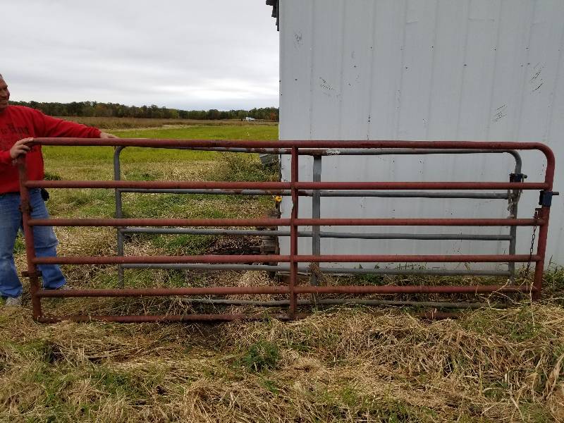 lot 10 image: Lot - 2 Metal Gates - 12ft & 10ft