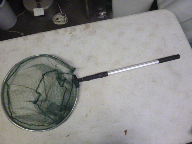 Telescoping Landing Net