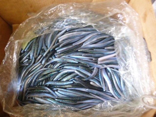 Bag of Plastic Fishing Worms