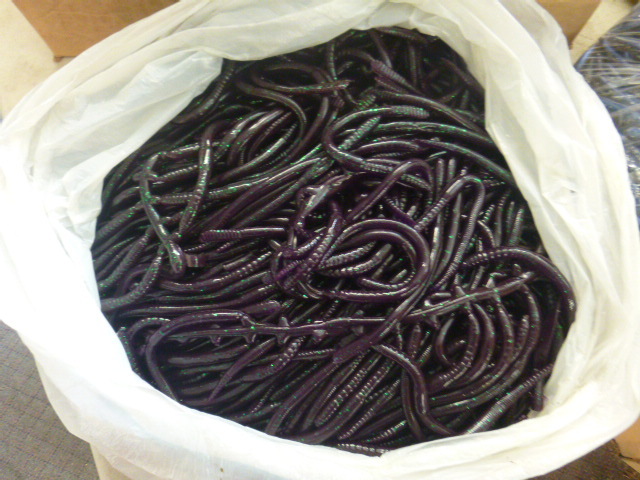 Bag of Plastic Fishing Worms