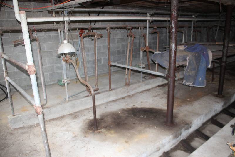lot 26 image: Lot of (20) Commercial Cattle Milking Stalls