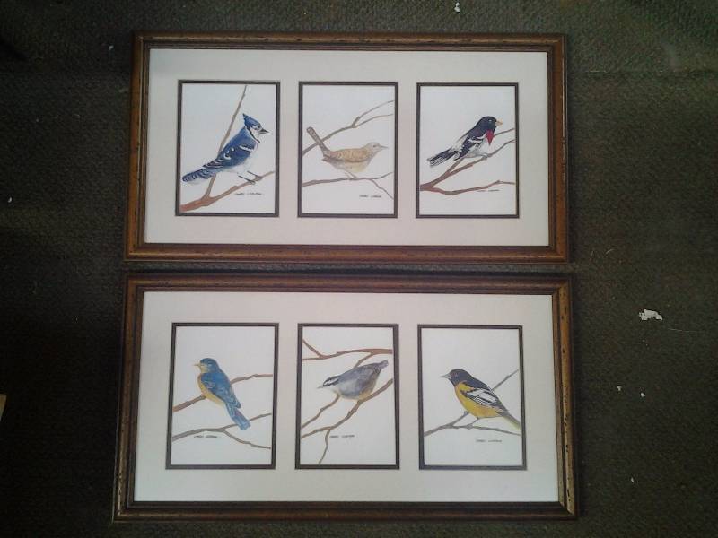 lot 9 image: 2-Frames Of Bird Prints By Laurel LaBorde 24x12