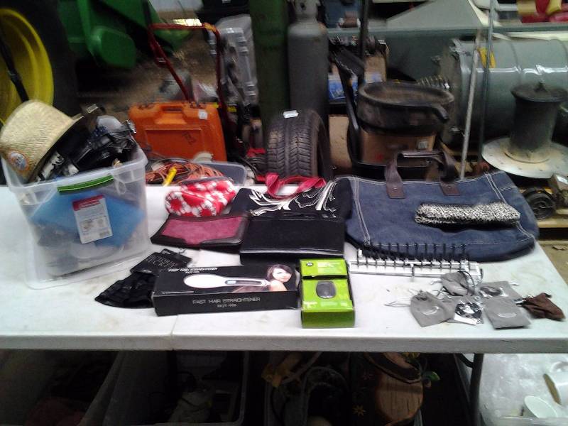 lot 43 image: Lot Of Purses, Cosmetic Bags, Jewelry, Hair Straightener