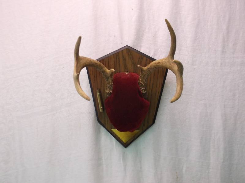 Deer Rack