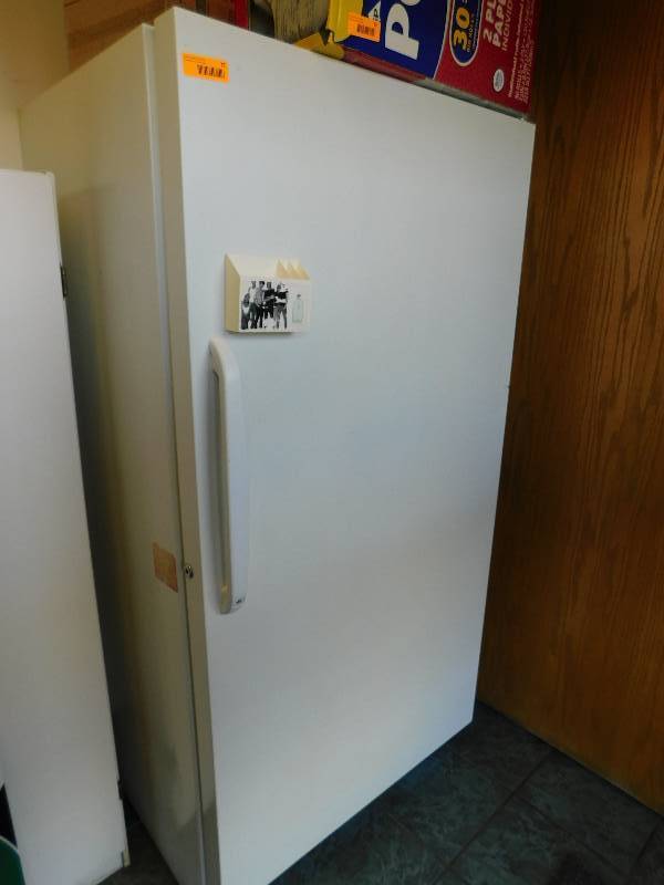 WOODS UPRIGHT FREEZER