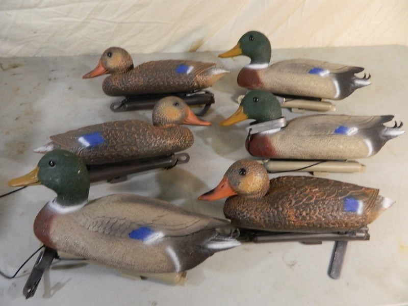 lot 58 image: 6 Assorted Plastic Duck Decoys