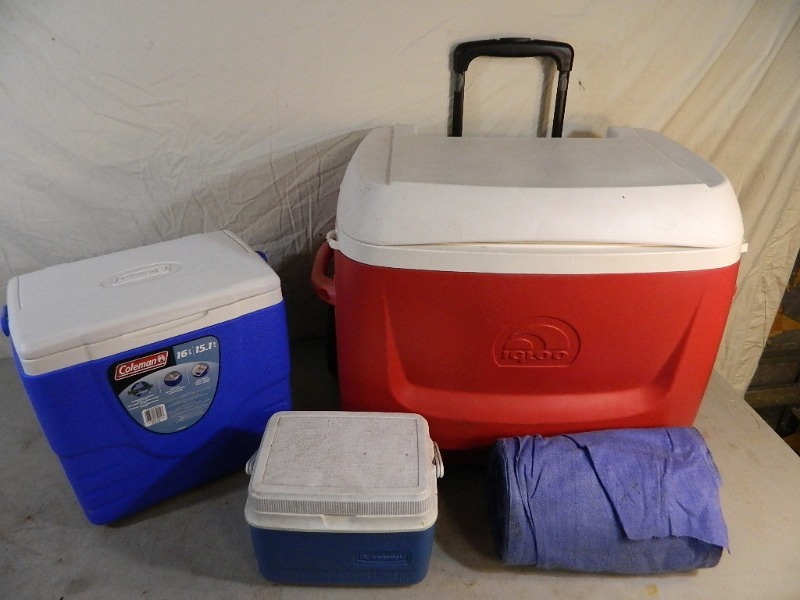 lot 121 image: 3 Coolers and Towels