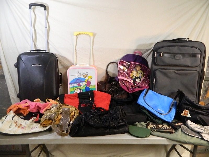 lot 169 image: Luggage, Purses, and More