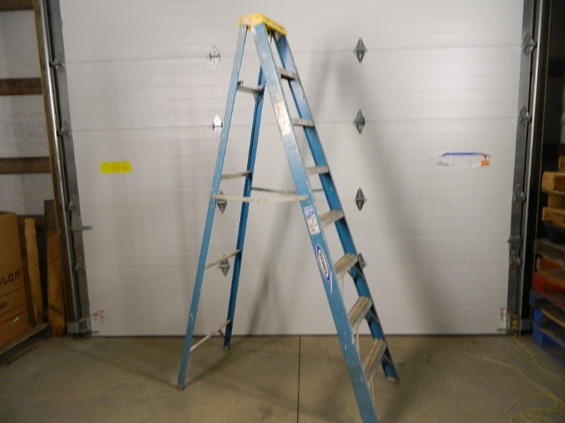 lot 8 image: 8 Ft Werner Step Ladder