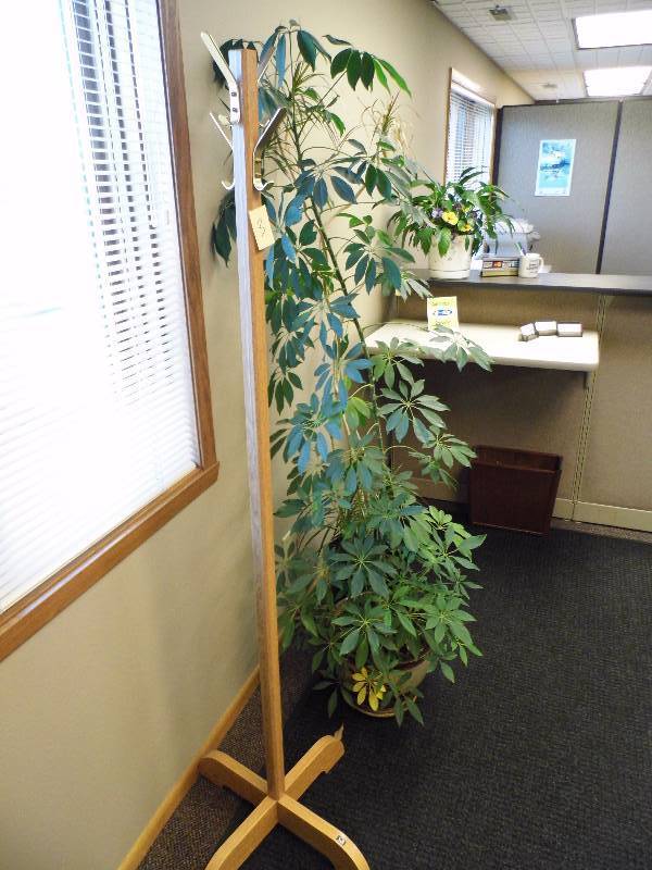 lot 3 image: Coat Rack