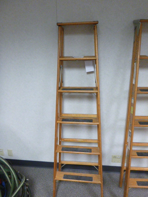 lot 78 image: 6 Foot Ladder