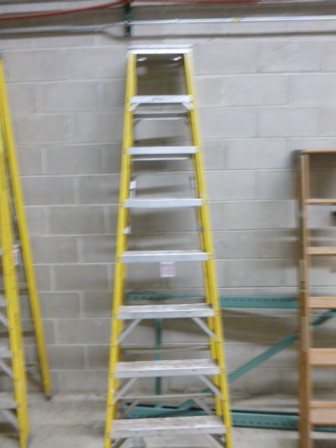 lot 102 image: 8 Foot Werner Ladder