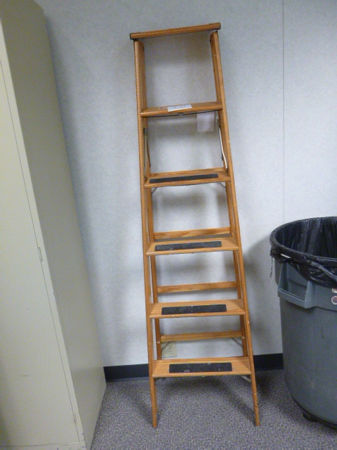 lot 163 image: 6 Foot Ladder