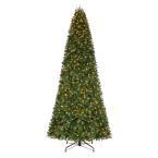 Home Accents Holiday 12 ft. Pre-Lit...