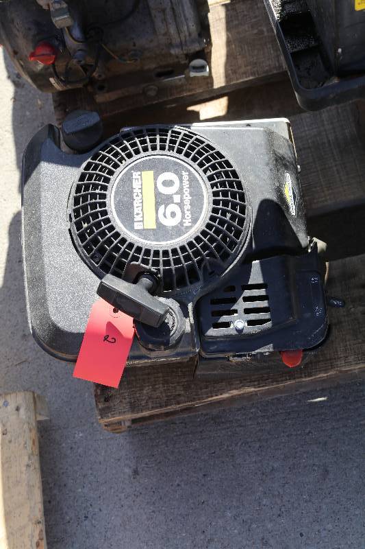 Briggs & Stratton Motor