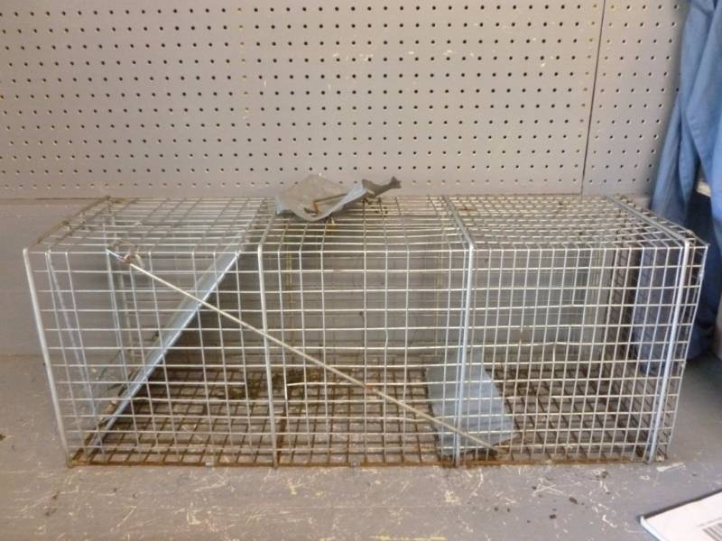 lot 141 image: Live Trap