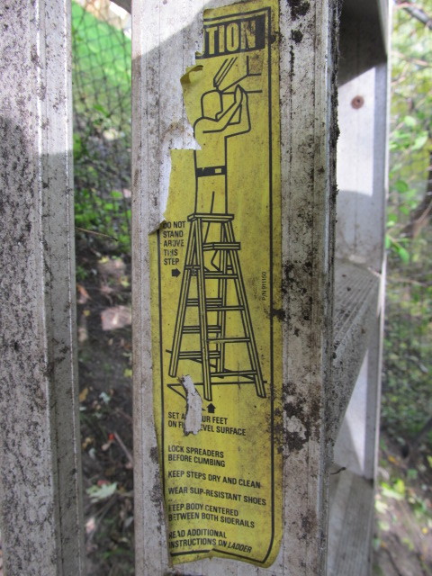 lot 147 image: 8 Aluminum Ladder