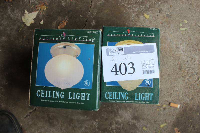 lot 403 image: Lot of (2) Patriot Lighting Ceiling Light