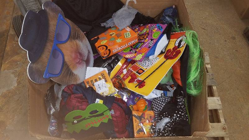 Assorted Halloween Items Customs, Decorations, Makeup, Party Items, Pumping Carving Kits and more A LOT NEW UNITS