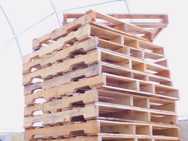 Lot of (10) Pallets in Good Condition