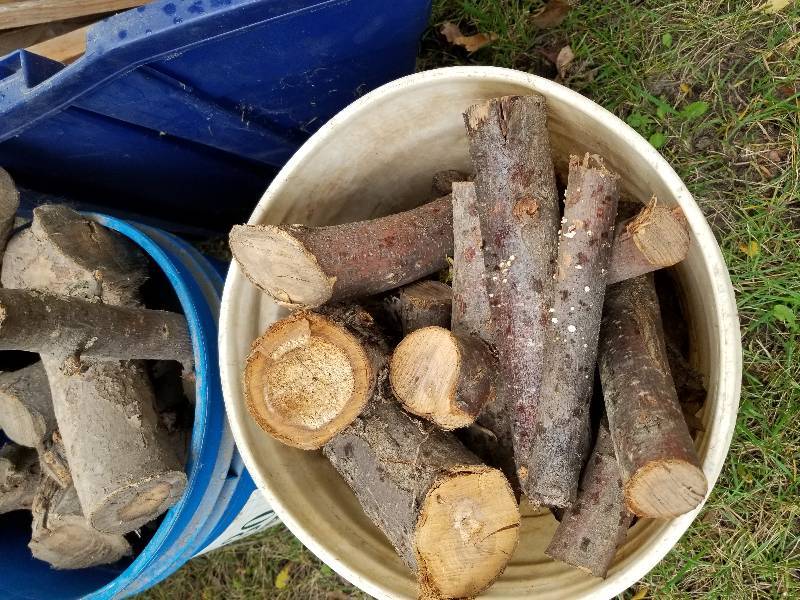 lot 96 image: Lot - Buckets of Apple Wood (For Smoking), Misc Stakes