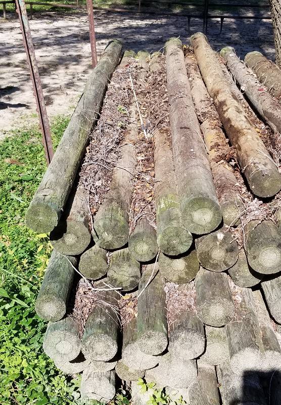 lot 133 image: Lot - Treated Posts, Appx 50 posts, 10FT Lengths