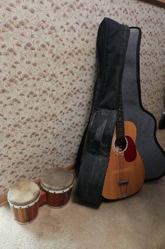 MUSICAL INSTRUMENTS