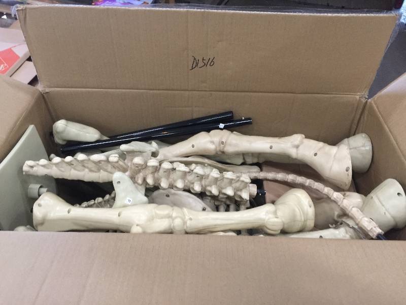 lot 3 image: 52 in. Standing Skeleton Pony with LED Illuminated Eyes