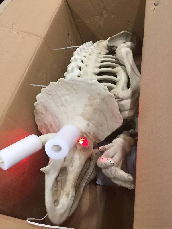 lot 4 image: 17 in. Animated triceratops with LED Illuminated Eyes