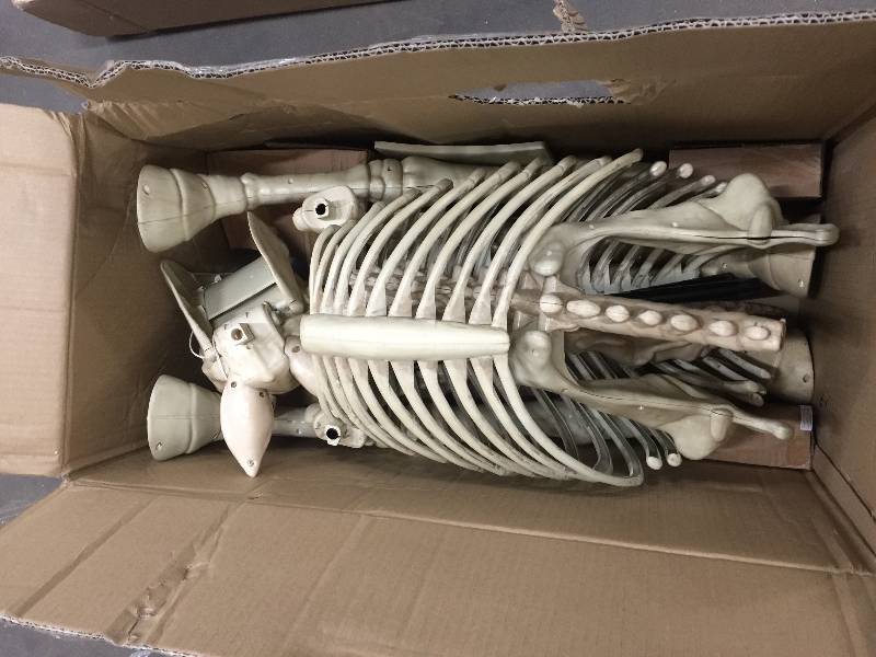 lot 7 image: 52 in. Standing Skeleton Pony with LED Illuminated Eyes