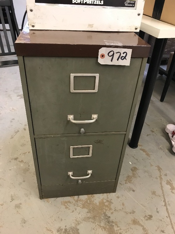 lot 972 image: 2 DRAWER FILE CABINET