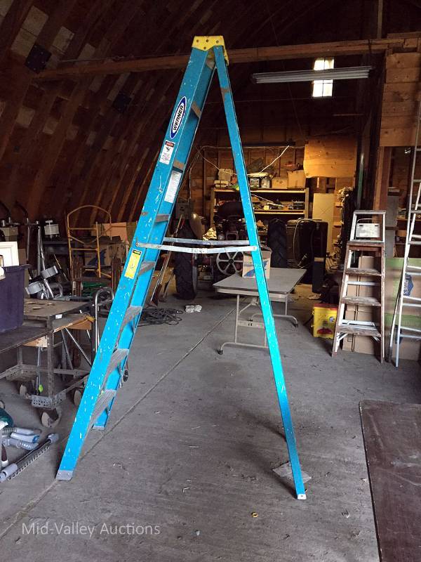 lot 286 image: Ladder 4