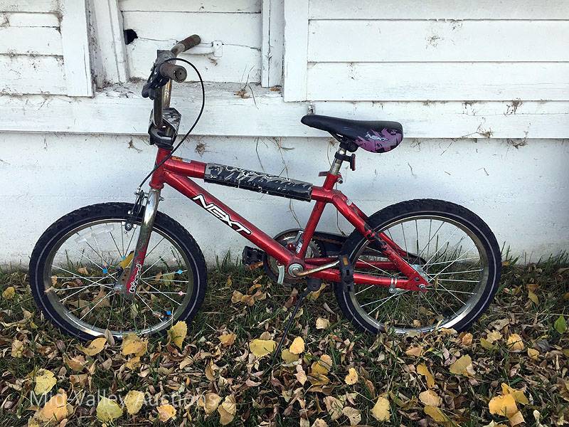lot 73 image: Bike 1