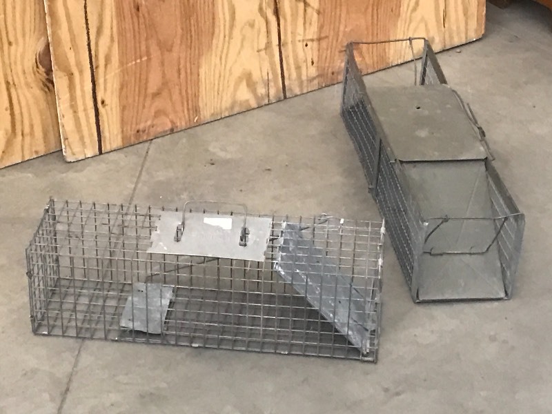 lot 36 image: (2) Mid-Sized Animal Live Traps ...