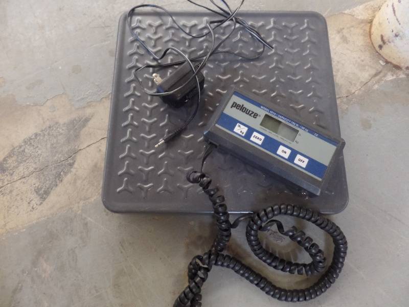 lot 183 image: PELOUZE DIGITAL SCALE