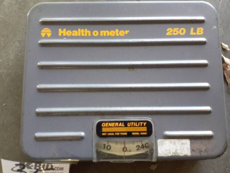 Health o meter Scale